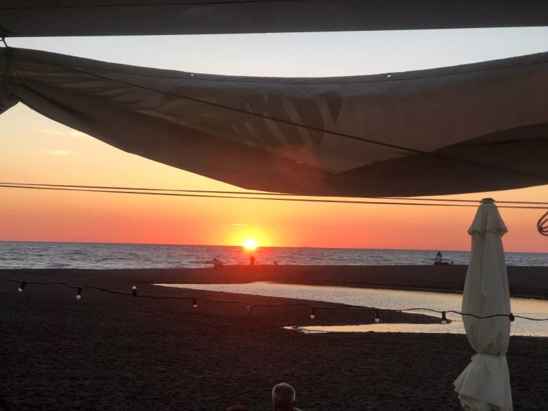 Wild Beach Bar