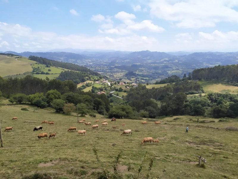 Peña Crespa