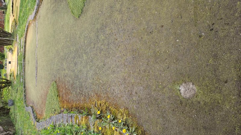 Spielgolf und Cafe Sudseite
