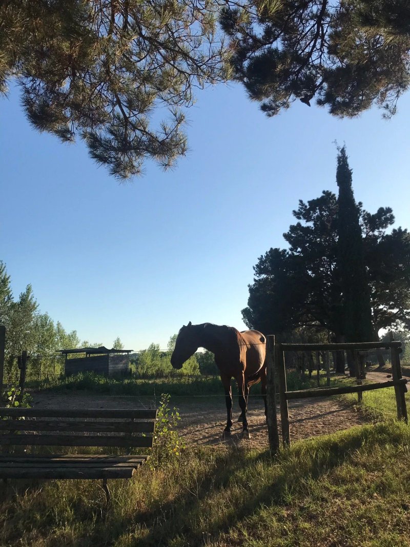 La Magnifica B&B