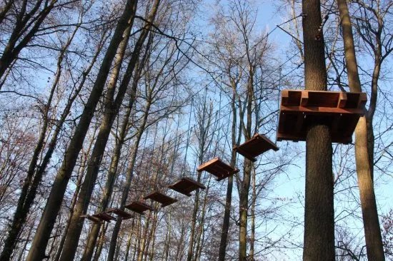 Kletterwald