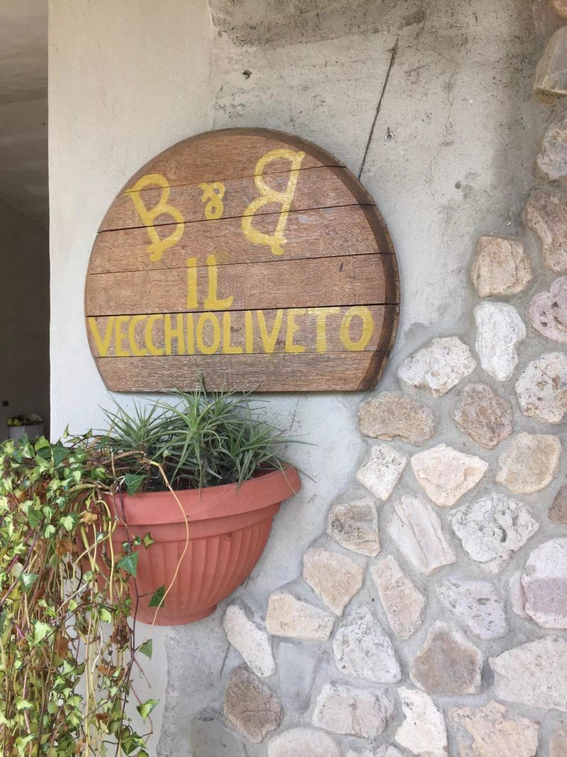 Il Vecchioliveto Di Ornella