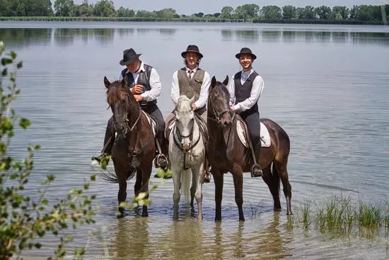 Horse Riding Tre Laghi