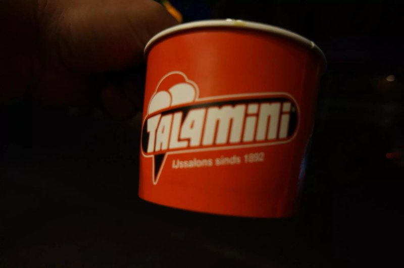 Talamini