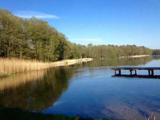 Schorfheidekeramik