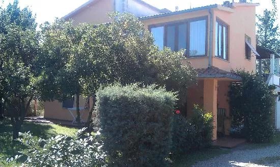 Il Mandorlo