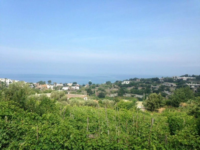 Agriturismo La Pergola