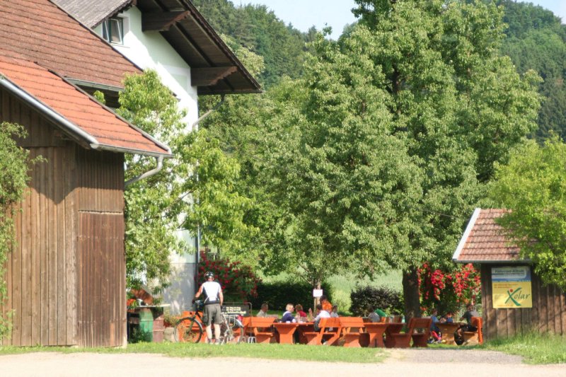 Mostausschank Unterer Inn