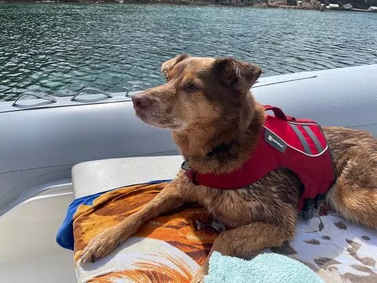 Karma - Boat Rental & Excursion