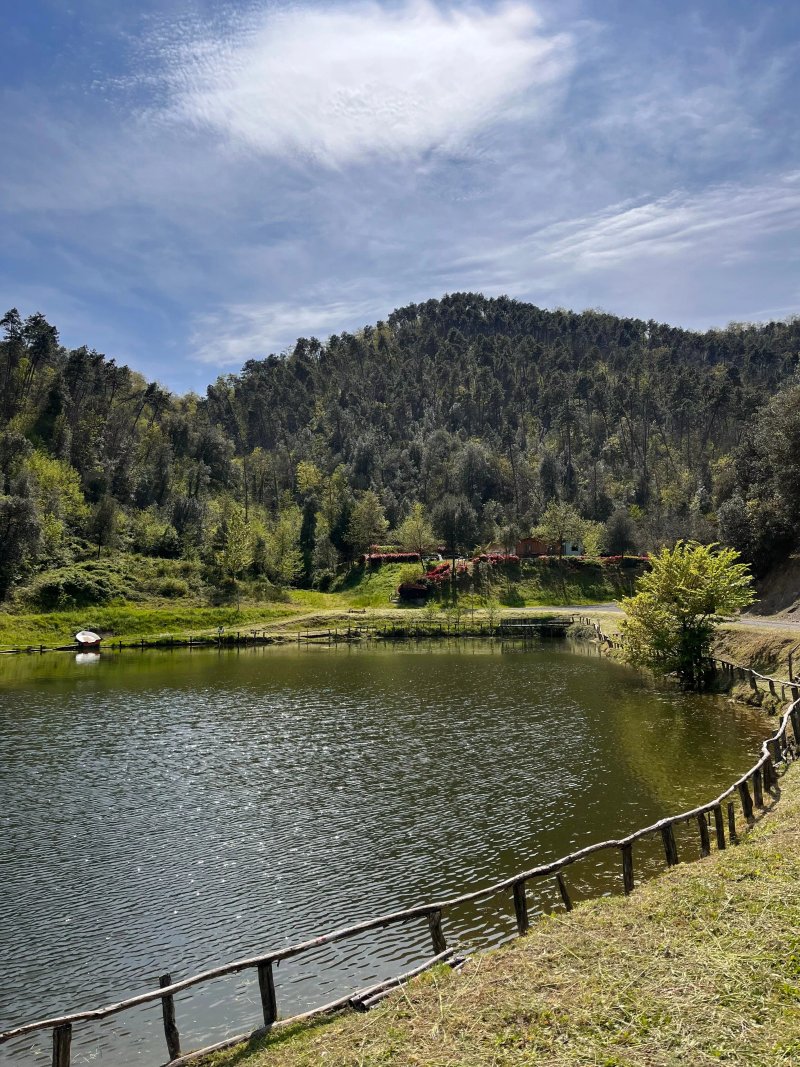 Lago Montalbano asd pesca sportiva