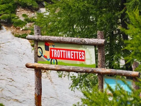 Trottinettes Tout-terrain