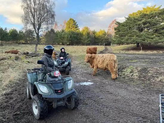 Quad Bikes Rothiemurchus