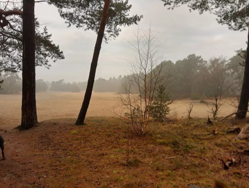 Landgoed Junne