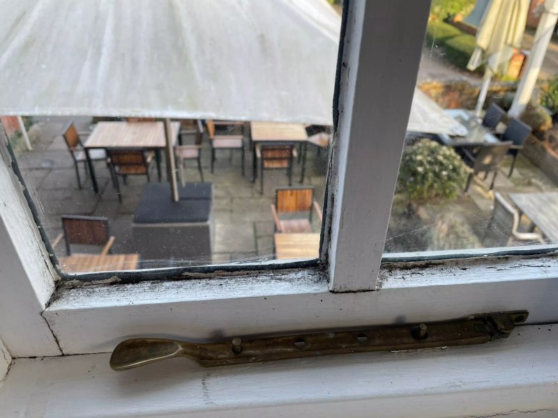 The Watership Down Inn