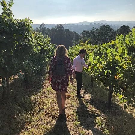 Sapateiro - Vineyard & Winery