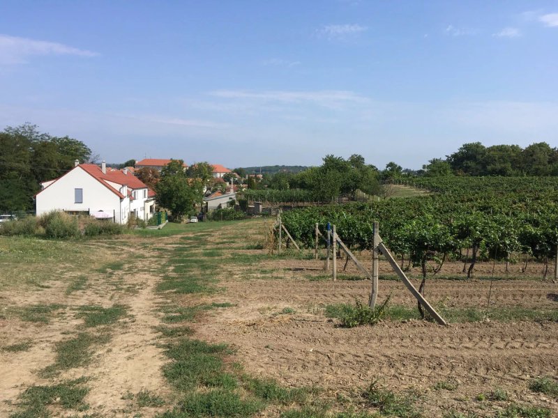 Vinařství a penzion Dwořáček