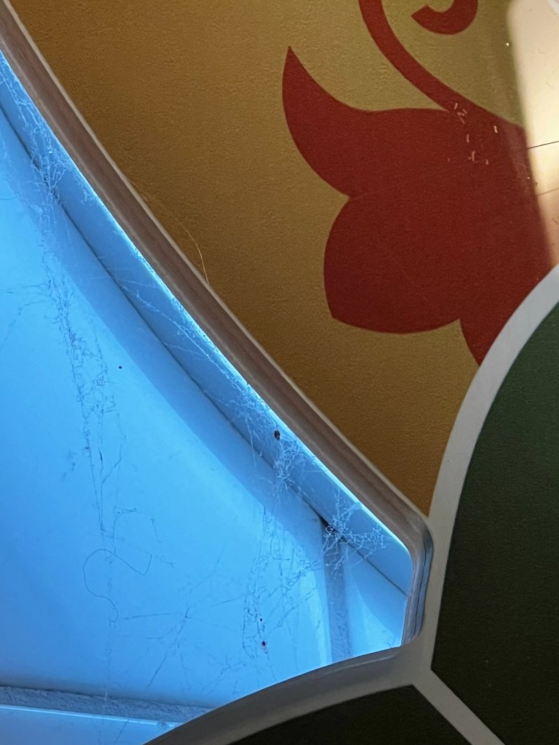 Tutti Santi Lodz