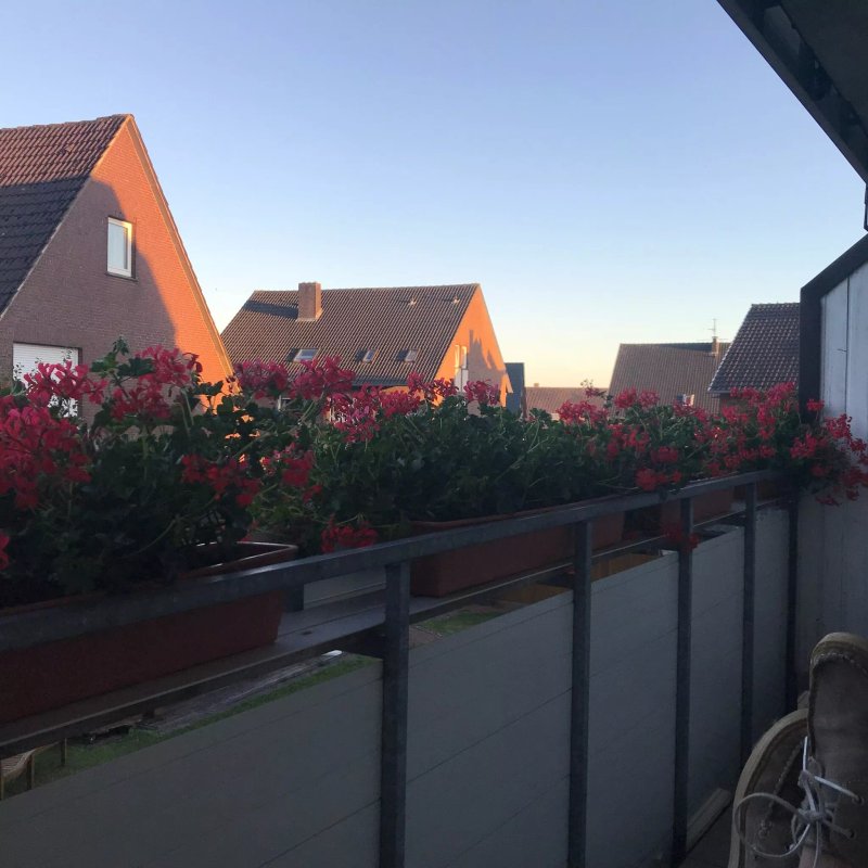 Gastehaus Nesemeyer