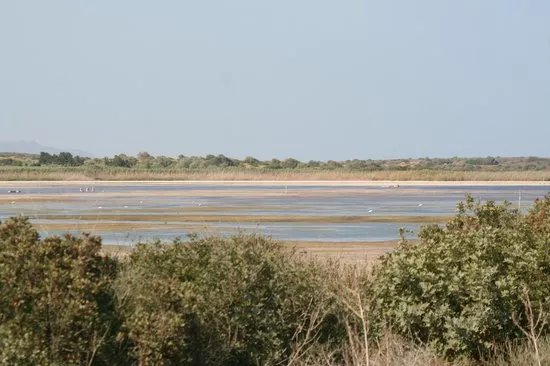 Riserva di Vendicari