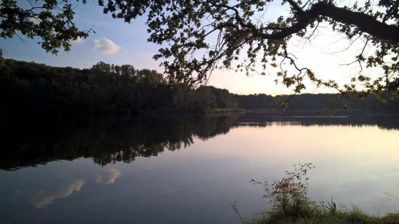 Waldteichfreunde Moritzburg