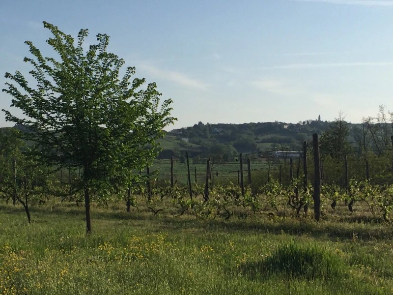 Agriturismo Cascina Giovanola