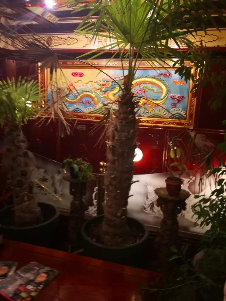 Chinarestaurant Hao