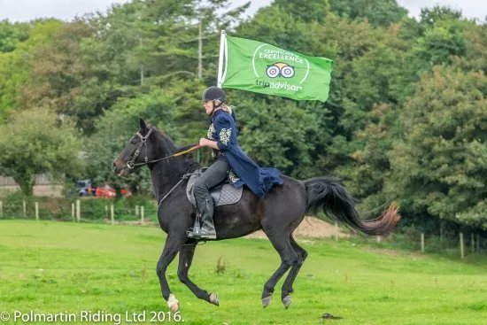 Polmartin Riding Equestrian Site