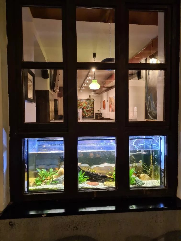 Cafe Bar Aquarium