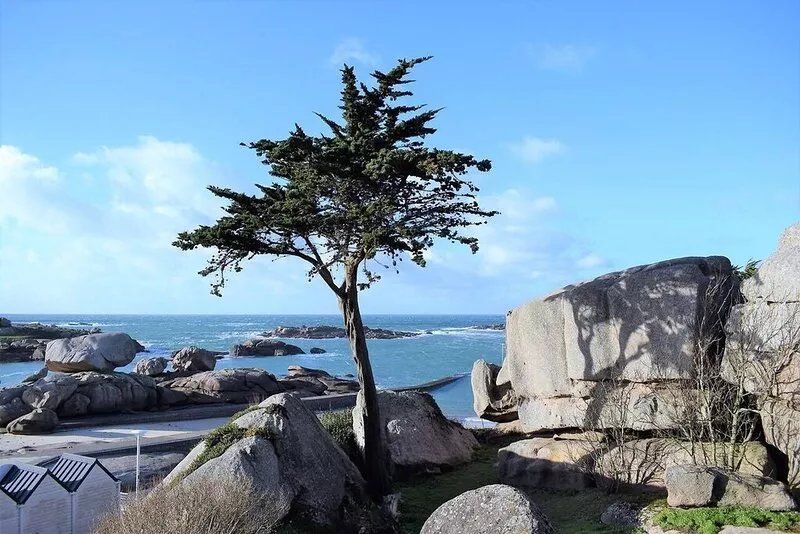 House 3* SUPERB SEA VIEW AND ROCKS with garden TREGASTEL