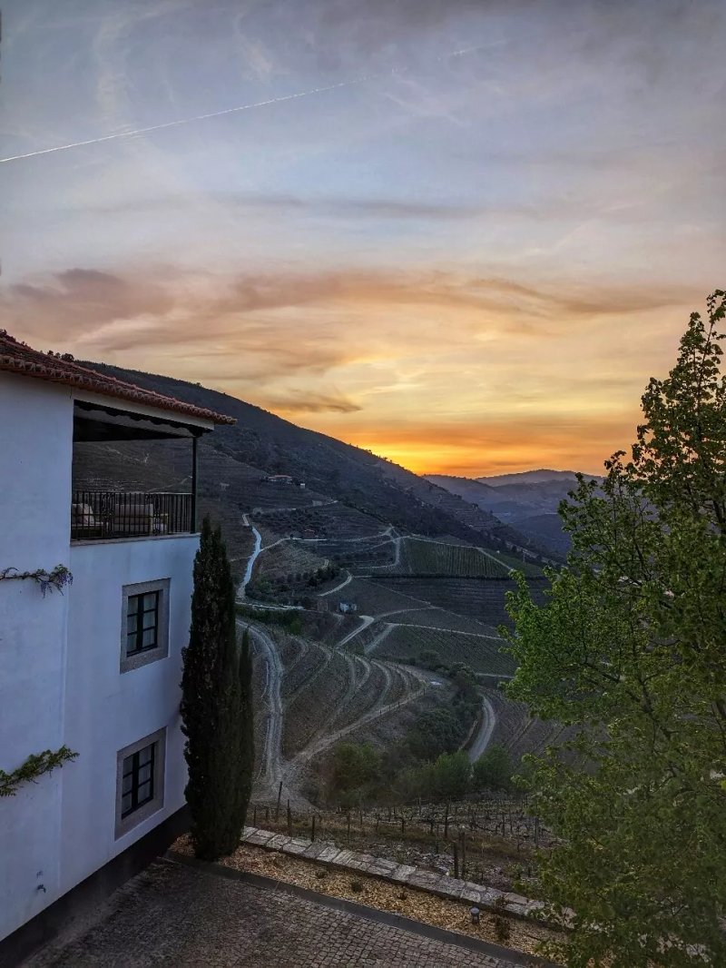 Gricha Vineyard House