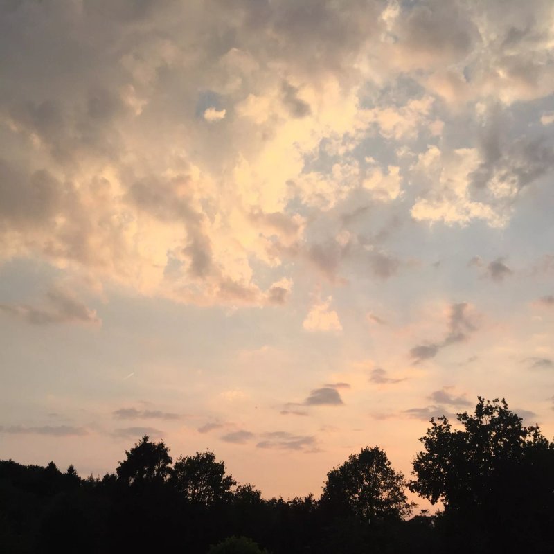 Camping 't Veld