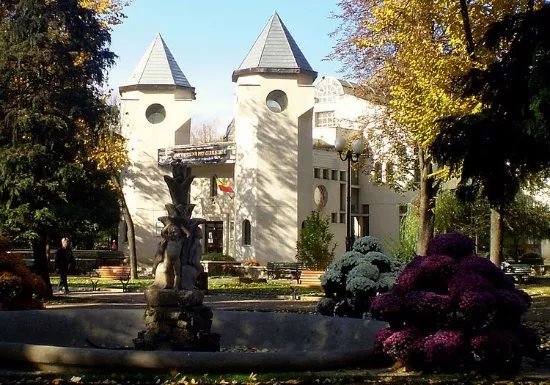 Mihai Eminescu Museum - Literature
