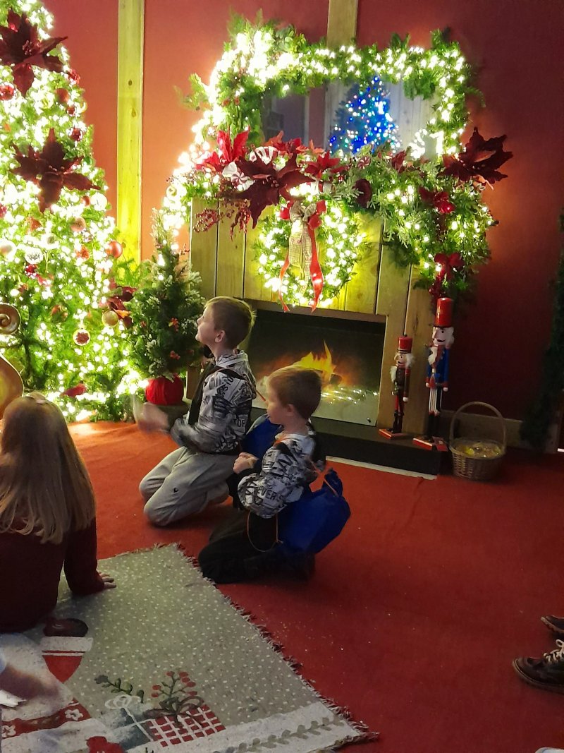 Hornsea Garden Centre