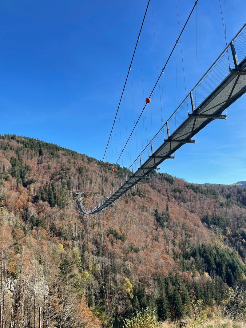 Black Forest Line Todtnau
