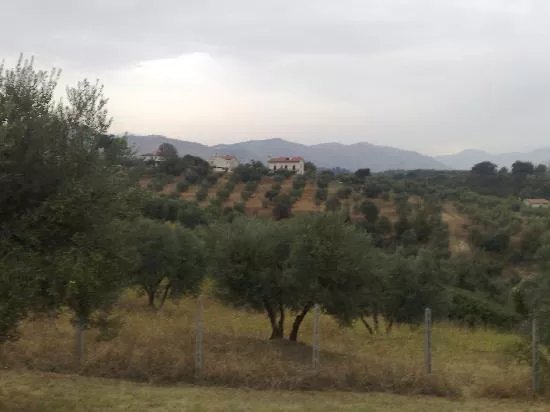 Angela Guest House