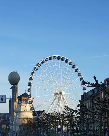 Wheel of Vision