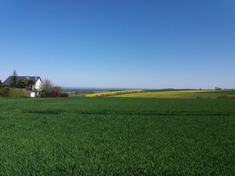 Zum Felsenrundgang
