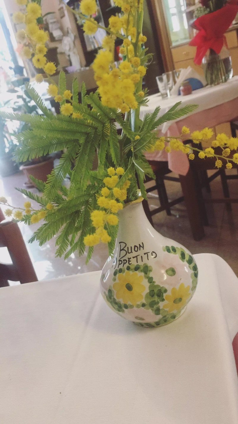 Trattoria Paolucci