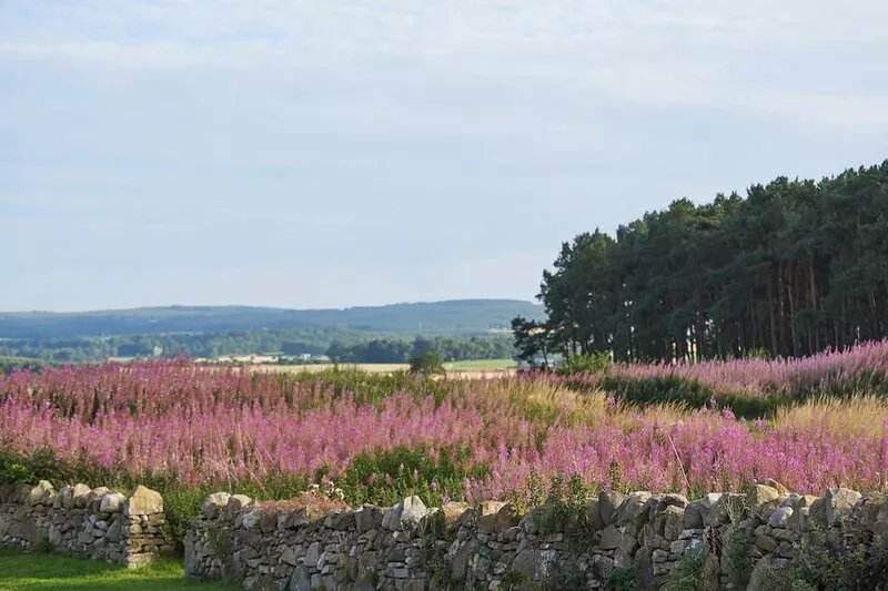STRATHNAVER, family friendly, luxury holiday cottage in Kinloss
