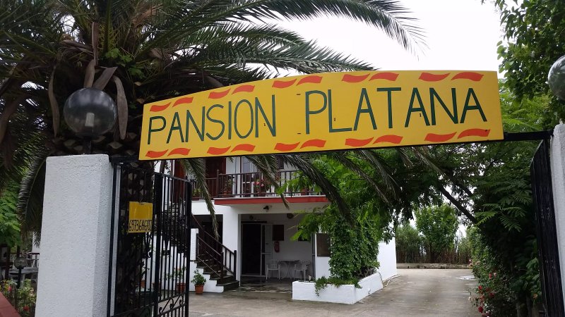 Pansion Platana