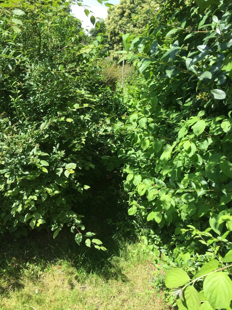 Camping Blaarmeersen