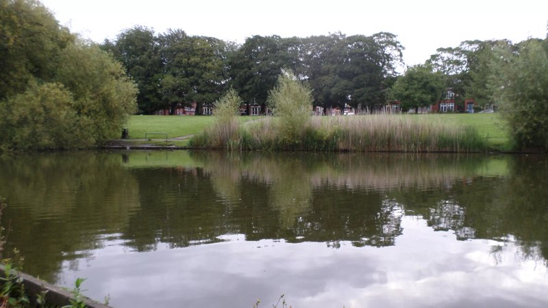 Greenbank Park