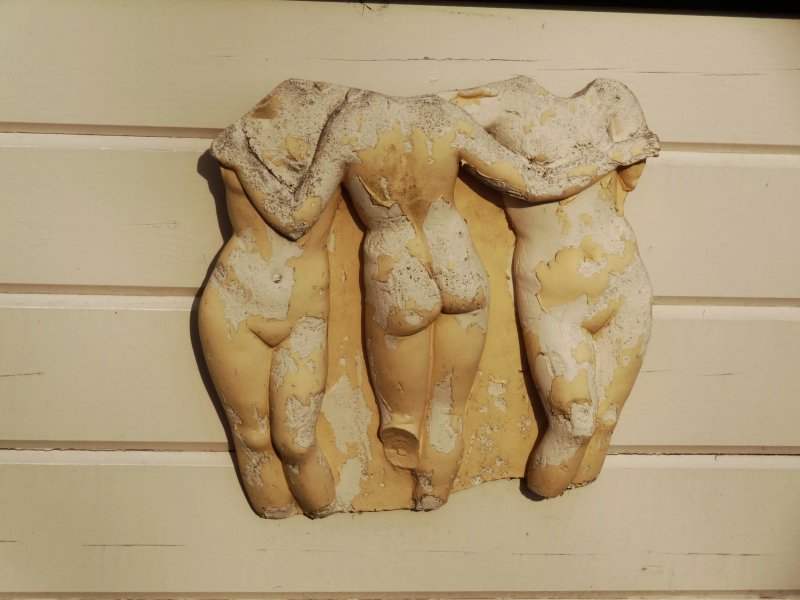 Naturistencamping Flevo-Natuur