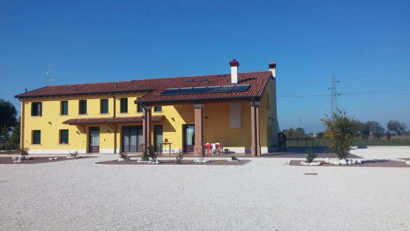 Alla Motta