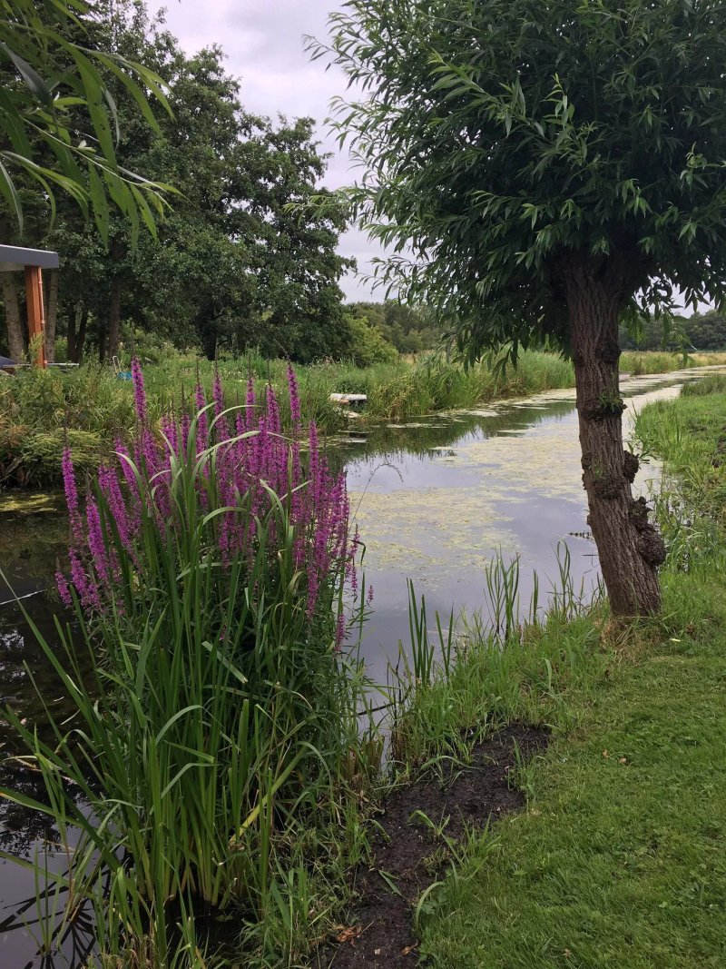 Bed & Breakfast Kortenhoefsedijk