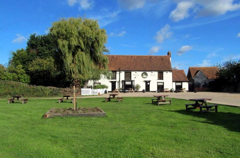 White Hart
