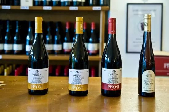 Cantina Pisoni