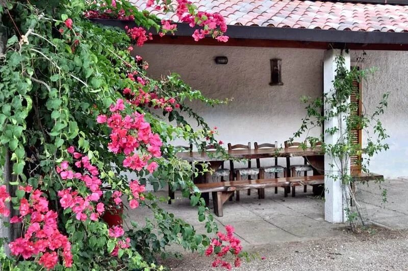 Homerez - House in Lacona with Garden