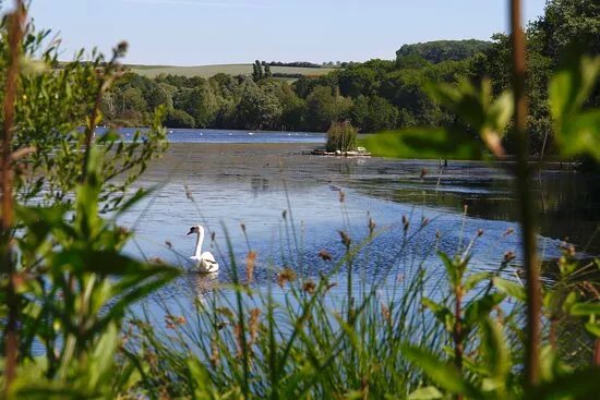 Etangs De Clery-sur-somme