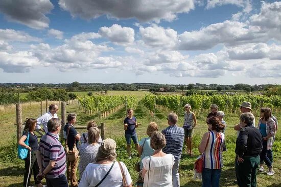 Flint Vineyard